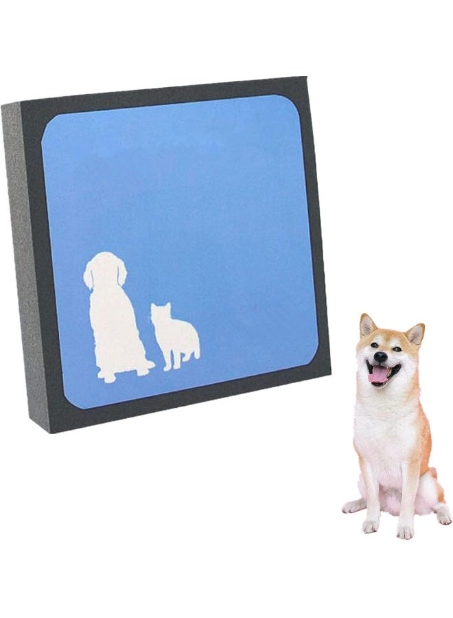 Mumoo Bear Pet Hair Cleaner, Reusable Hair Fur Remover For Furniture Bedding Carpets - Image 1