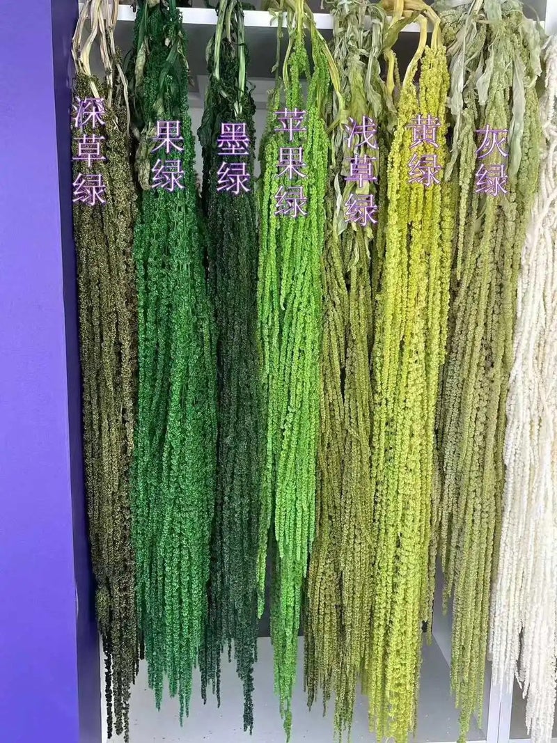 Bluejw Preserved Amaranth Dried Flowers – Soft Natural Dried Plants for Wedding Florist Decor, Home Decoration, Valentine's Day & Graduation Gifts - Image 5