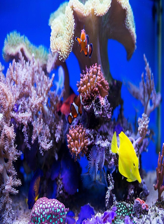 دانر مضخة غاطسة لأحواض السمك من نوع Supreme (Danner) ASP06527 Aqua Supreme، بقدرة 400 جالون في الساعة - Image 2