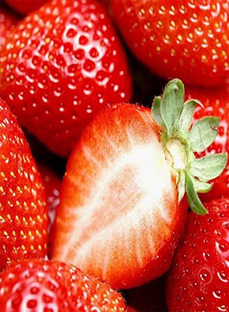 GGOOT Egrow 100 Pcs/Pack Strawberry Tree Seeds Rare Fruit Strawberry Bonsai Seed Garden DIY Planting - Image 3
