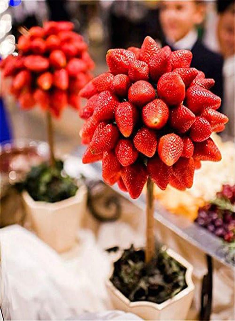 GGOOT Egrow 100 Pcs/Pack Strawberry Tree Seeds Rare Fruit Strawberry Bonsai Seed Garden DIY Planting - Image 1