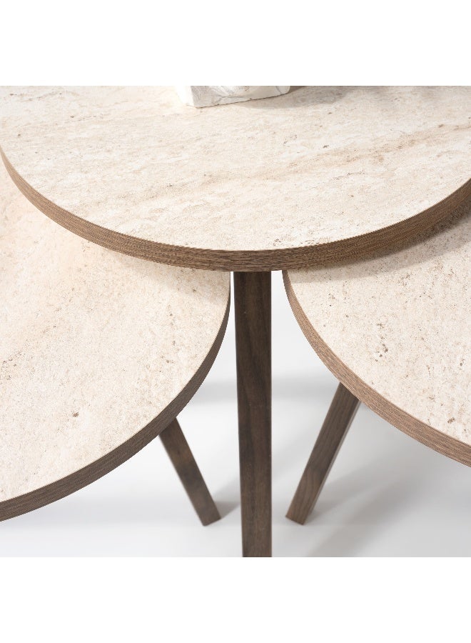 Home Box طقم طاولات نيف المستديرة - مجموعة من 3 - Image 2