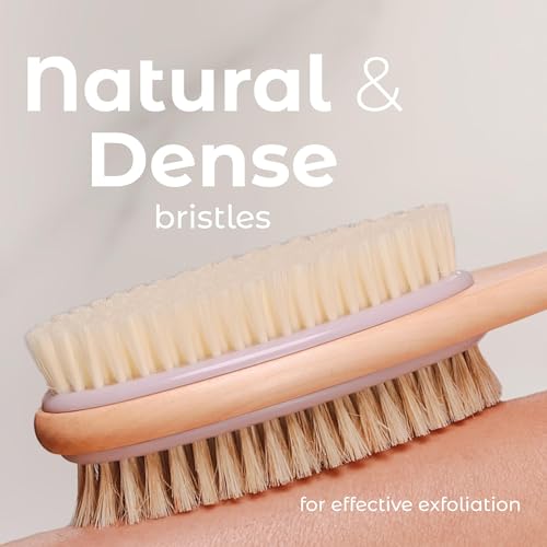 MainBasics Back Scrubber for Shower – Long Handle Dual-Sided Brush for Body Wash & Scrubbing with Exfoliating & Soft Bristles (Lavender, Wood) - Image 4