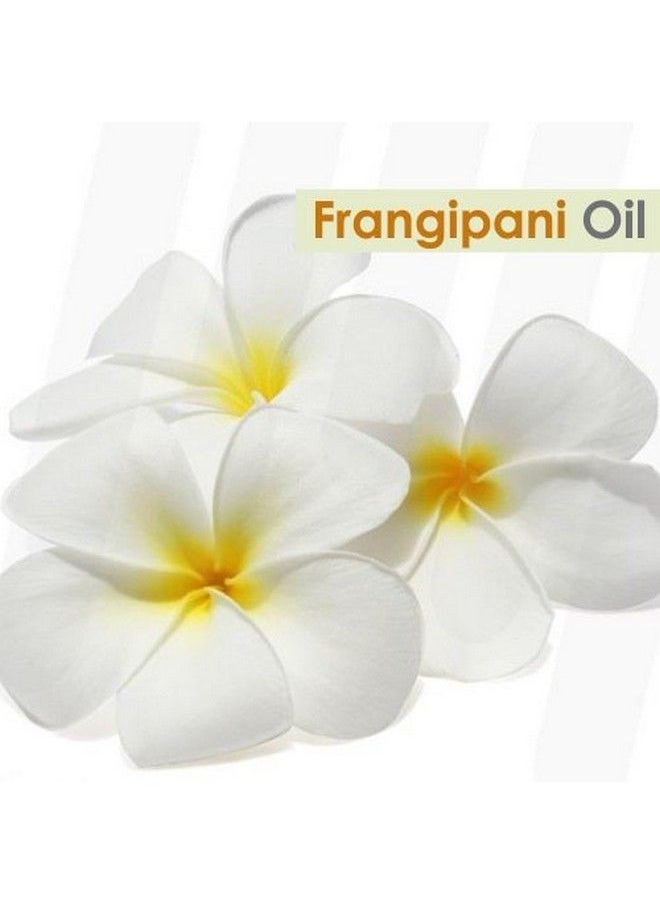 CRYSALIS Frangipani Oil (Plumeria) Oil ;100% Pure & Natural Undiluted Essential Oil Organic Standard; Perfect For Massage Oil ;Aromatherapy Oil; 15Ml With Dropper  - Image 3