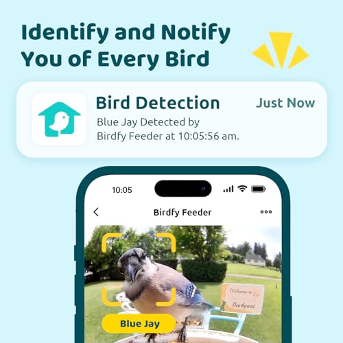 NETVUE Birdfy® Hummee Smart Hummingbird Feeder with Camera, Auto Capture Bird Videos & Birdwatching Up-Close, 2 in 1 Feeders Attract More Hummingbirds, Ideal Present for Bird Lover - Image 2