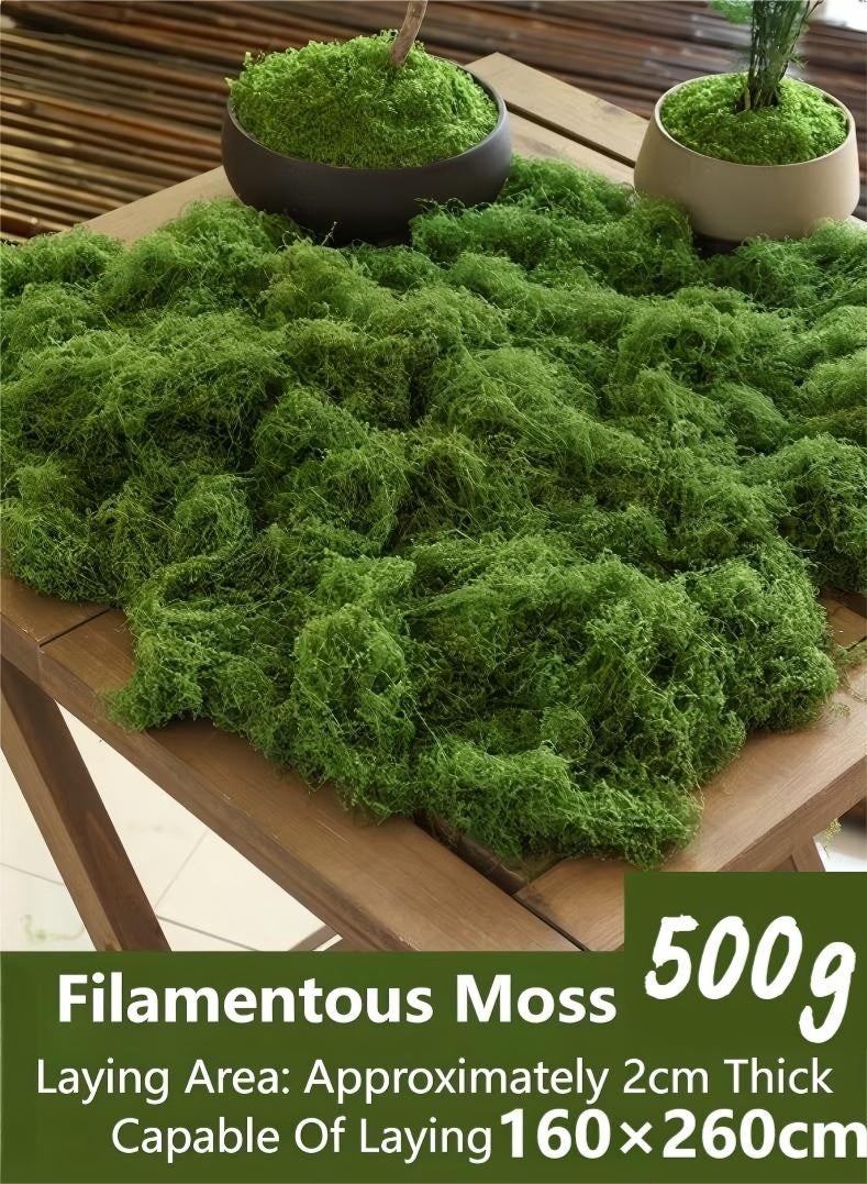 JUNYOUK 500g Moss Grass Perfectly Simulates Artificial Moss Fake Green Grass for Centerpieces Home Kitchen Garden Decor Preserved Forest Moss - Image 1