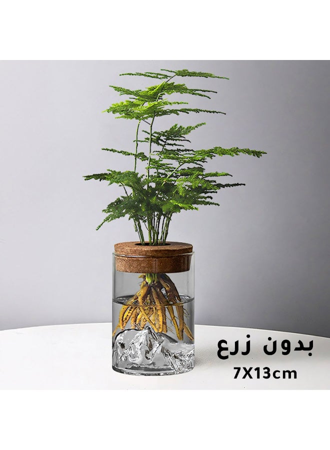 Hydroponic Glass Vase with Cork Lid - Image 1