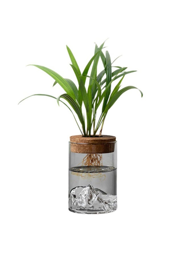 Hydroponic Glass Vase with Cork Lid - Image 2