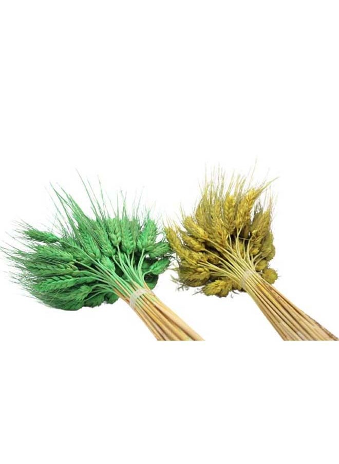 Generic Natural Dried Wheat Grass Bundle Artificial Wheat Dried Flower (Mint, 100)  - Image 2