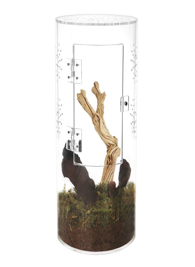 NANEEZOO Acrylic Tarantula Enclosure Jumping Spider Enclosure with Front Opening Door Micro Habitat Terrarium for Small Tree Dwelling Reptiles, Spiders & Invertebrates - Image 1