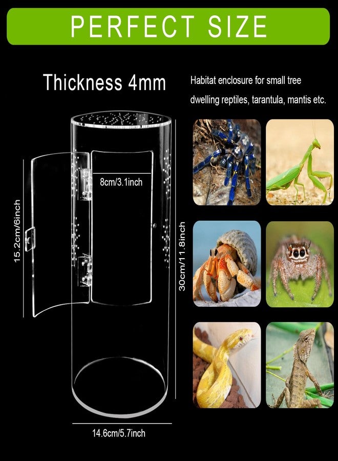 NANEEZOO Acrylic Tarantula Enclosure Jumping Spider Enclosure with Front Opening Door Micro Habitat Terrarium for Small Tree Dwelling Reptiles, Spiders & Invertebrates - Image 2