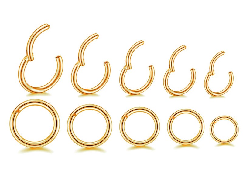 HQLA 16G Surgical Steel Hinged Clicker Segment Nose Rings Hoop Helix Cartilage Daith Tragus Sleeper Earrings Body Piercing for women (16G - Gold - (6mm-14mm) - 10Pcs) - Image 1