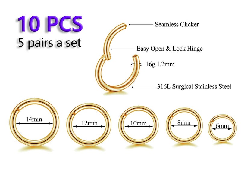 HQLA 16G Surgical Steel Hinged Clicker Segment Nose Rings Hoop Helix Cartilage Daith Tragus Sleeper Earrings Body Piercing for women (16G - Gold - (6mm-14mm) - 10Pcs) - Image 2
