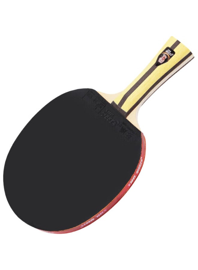 DHS (Double Happiness) Four-Star Table Tennis Racket Set H4002 (With Table Tennis Balls) - Image 3