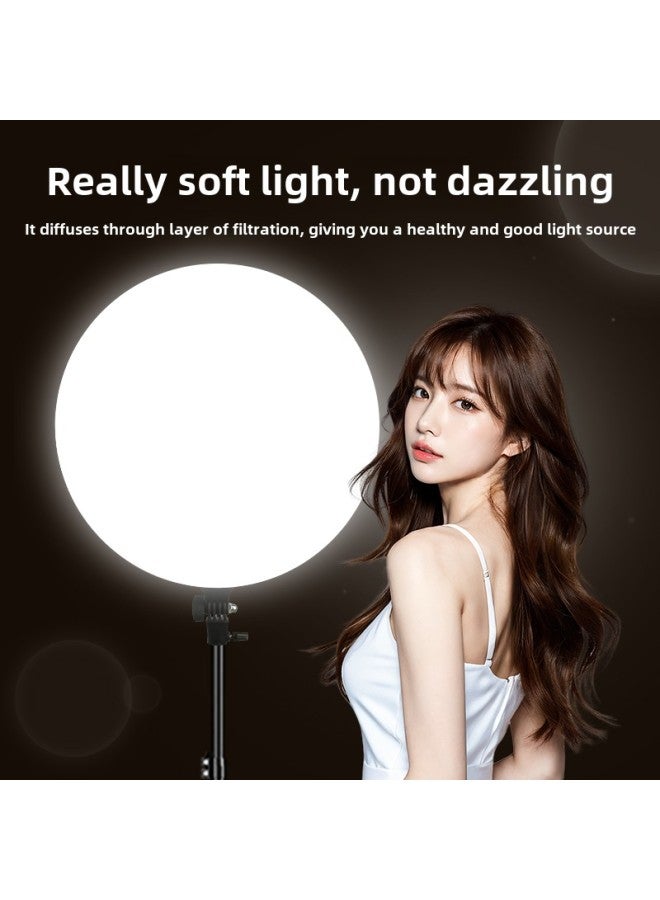 Anchor Dedicated Desktop Round Bracket Floor Tripod Mobile Phone Light Full Screen Beauty Live Light Light-Specifications:26cm Full Screen Desktop Fill Light + Disc Desktop Tripod + One Mobile Phone Clip + Overhead Shooting Stand + Bluetooth Remote Control  - Image 3