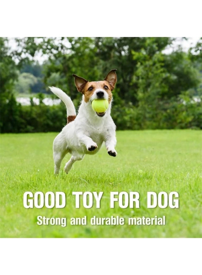 HOMESTAR Tennis Balls 3 Pack, Training Tennis Balls, Playing Ball for Pets, Cats, Dogs, Sports Practice Tennis Balls for Beginners - Image 5