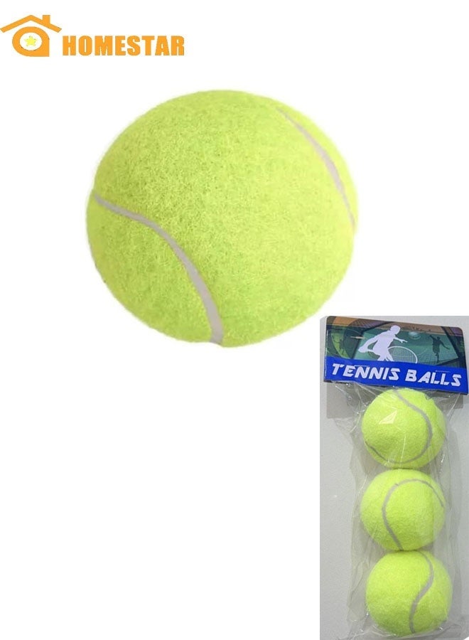 HOMESTAR Tennis Balls 3 Pack, Training Tennis Balls, Playing Ball for Pets, Cats, Dogs, Sports Practice Tennis Balls for Beginners - Image 2