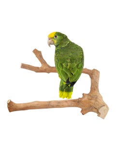 CHEWY BEAK Birds wooden perch, solid java wood stick, for cockatoo parrots and african gery parrots suitable for all bird cages  - Image 1