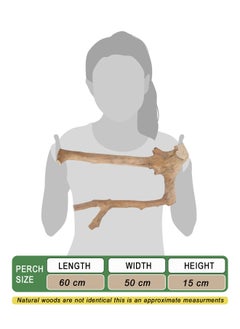 CHEWY BEAK Birds wooden perch, solid java wood stick, for cockatoo parrots and african gery parrots suitable for all bird cages  - Image 2