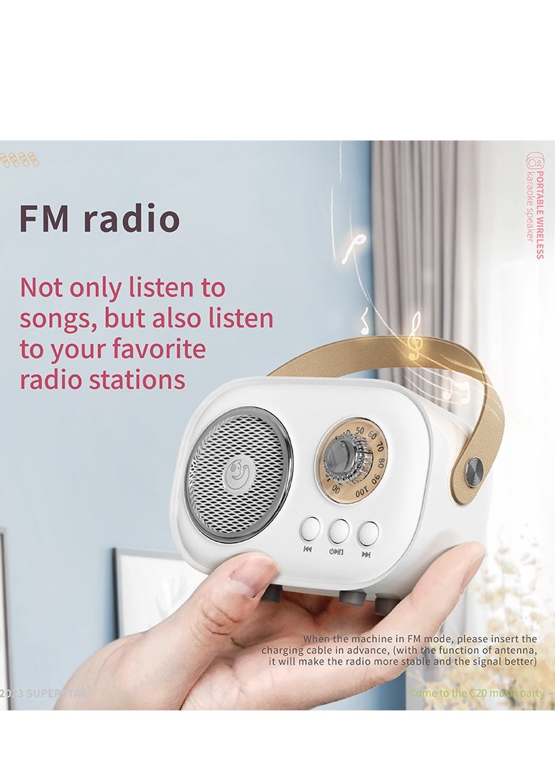 GULFLINK - C20 PLUS Mini Wireless BT Audio Home Singing Karaoke Integrated Microphone Speaker Stereo Home KTV Set Handsfree Call White - Image 1