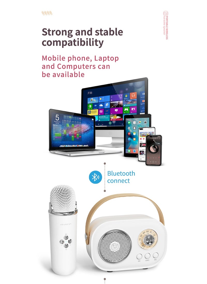 GULFLINK - C20 PLUS Mini Wireless BT Audio Home Singing Karaoke Integrated Microphone Speaker Stereo Home KTV Set Handsfree Call White - Image 1