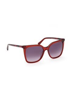 GANT Women's UV Protection Butterfly Shape Acetate Sunglasses GA809366B55 - Lens Size: 55 Mm - Shiny Red  - Image 3