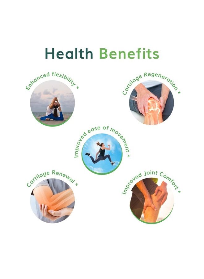 Univera ريجيني كير تفاح أخضر، جلوكوزامين، كوندروايتين، إم إس إم، يونيستين، صحة المفاصل، دعم المفاصل، حركة + مرونة، نكهة تفاح أخضر، مسحوق، إمداد لمدة 30 يومًا - Image 2