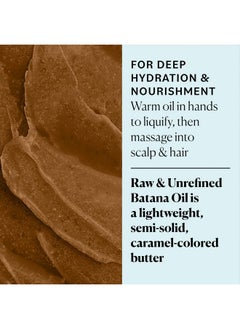Sky Organics Sky Organics RAW & UNREFINED BATANA OIL, 100% Pure, from Honduras, to Support Scalp & Stronger Fuller-Looking Hair, Intensive Hair Conditioning & Hair Repair Mask, 4 fl oz  - Image 4