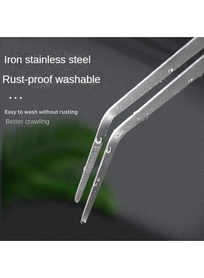 أدوات أحواض السمك المزروعة المصنوعة من الفولاذ المقاوم للصدأ مقاس 27 سم (ملقط ثني) من Petzlifeworld - Image 3