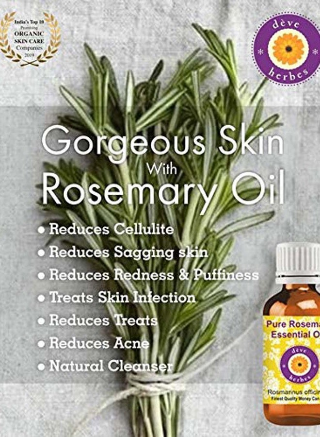 Deve Herbes Pure Rosemary Essential Oil (Rosmarinus officinalis) Steam Distilled 30ml (1 oz) - Image 3