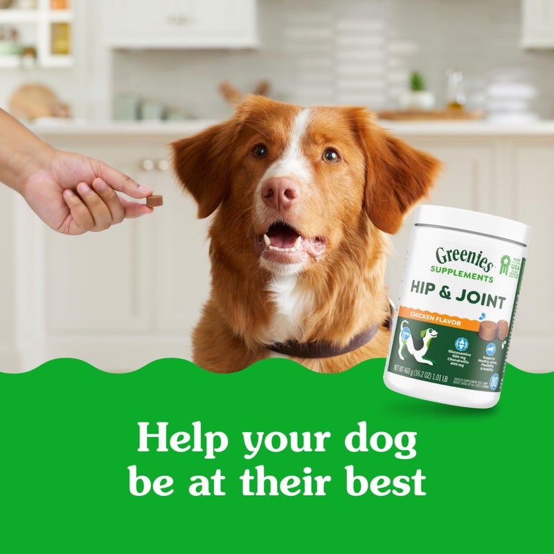 Greenies Supplements Hip and Joint Supplements for Dogs, Chicken Flavor, 6.08 oz. 30-Count - Image 2
