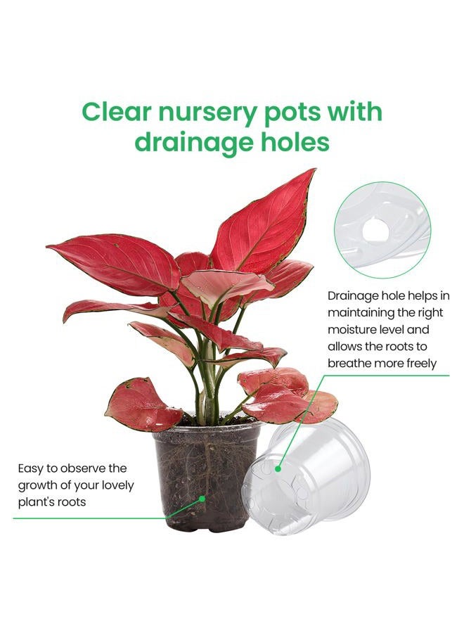 Bluepro 36 Packs 5/4/3.5 Inch Reinforced Clear Nursery Pots with Drainage Hole, Transparent Nursery Pots Variety Pack Plastic Plant Pot Seedling Planter Seed Starter Pots Flower Pot with 20pcs Plant Labels - Image 3