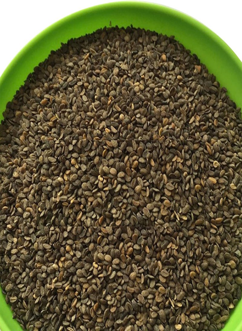 GGOOT 50Pcs/Bag Phlox Seeds Quick Growth Flourishing White Bloom Sunshine Prefer Phlox Seedlings for Balcony Phlox Seeds Flourishing - Image 5