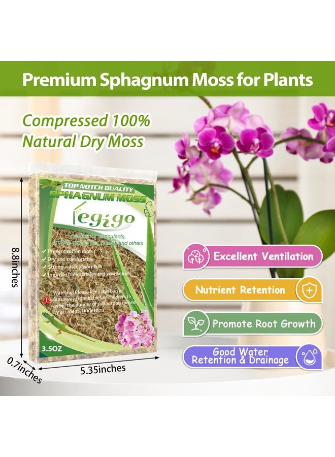 Legigo 3.5Oz Premium Sphagnum Moss Potting Mix- 4 Qt Natural Succulent Carnivorous Plants Dried, Plant Growing Medium For Orchid Sarracenia Gardening Reptiles - Image 2