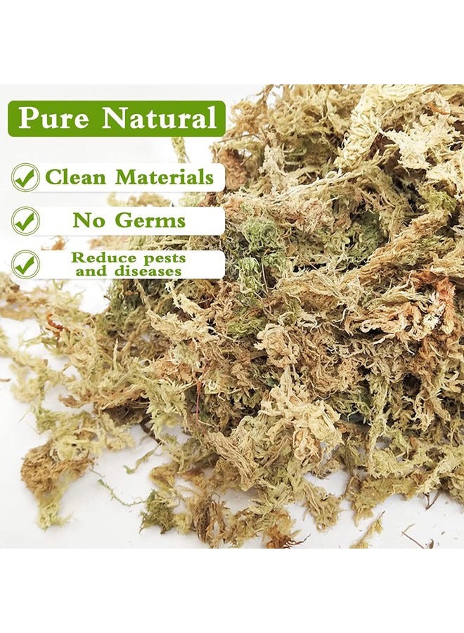 Legigo 3.5Oz Premium Sphagnum Moss Potting Mix- 4 Qt Natural Succulent Carnivorous Plants Dried, Plant Growing Medium For Orchid Sarracenia Gardening Reptiles - Image 3