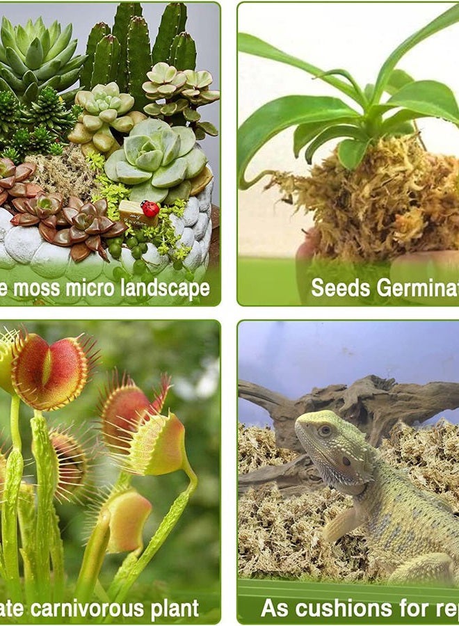 Legigo 3.5Oz Premium Sphagnum Moss Potting Mix- 4 Qt Natural Succulent Carnivorous Plants Dried, Plant Growing Medium For Orchid Sarracenia Gardening Reptiles - Image 5