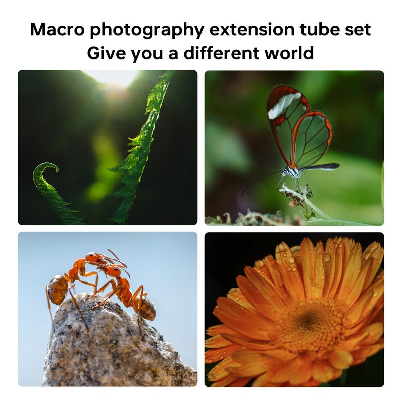 VILTROX مجموعة حلقات تمديد ماكرو VILTROX DG-C المعدنية مع تركيز تلقائي (12 مم + 20 مم + 36 مم) لكاميرا كانون EF/EF-S DSLR - Image 3