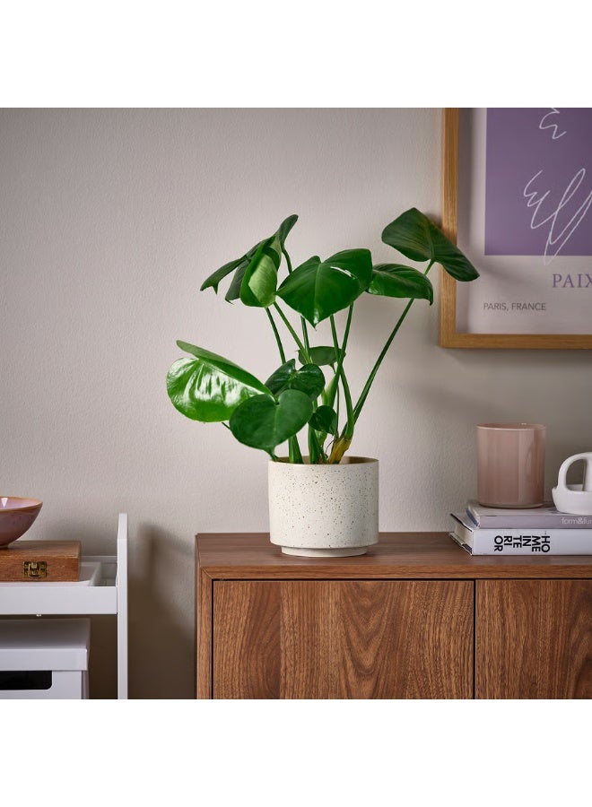 Beige Plant Pot – Indoor & Outdoor Decorative Flower Pot, Durable and Stylish, 12 cm Diameter - Image 3