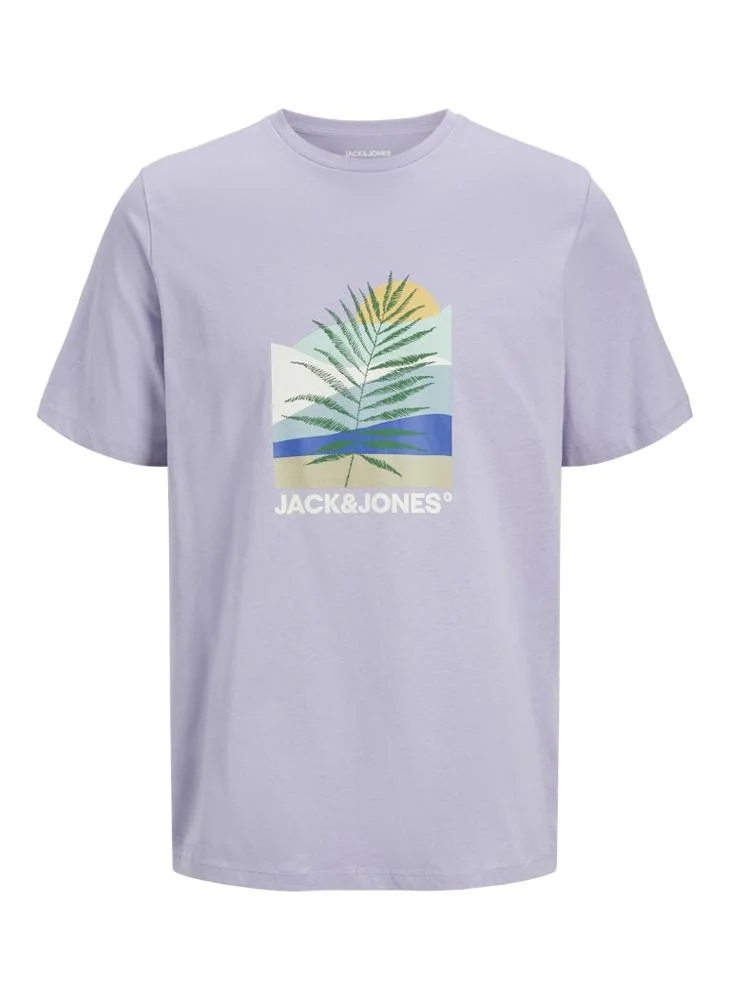 JACK & JONES JJBARBADOS TEE SS CREW NECK