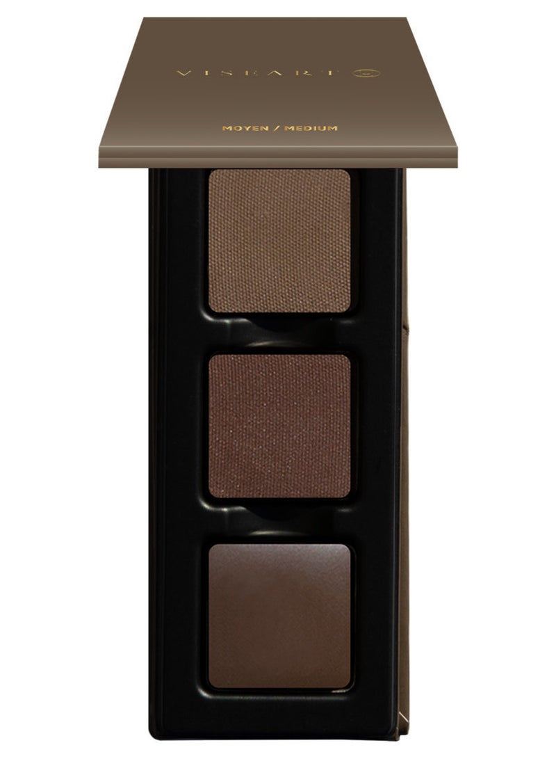 VISEART VisePRO Le Petit Brow Structure Medium 4.5g