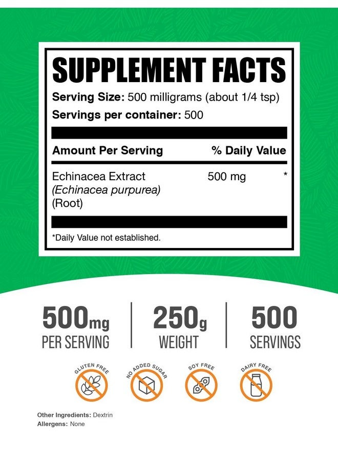 BulkSupplements.com Echinacea Extract Powder - Echinacea Supplement, Herbal Supplement for Immune Support - Vegan & Gluten Free, 500mg per Serving, 250g (8.8 oz) (Pack of 1) - Image 2
