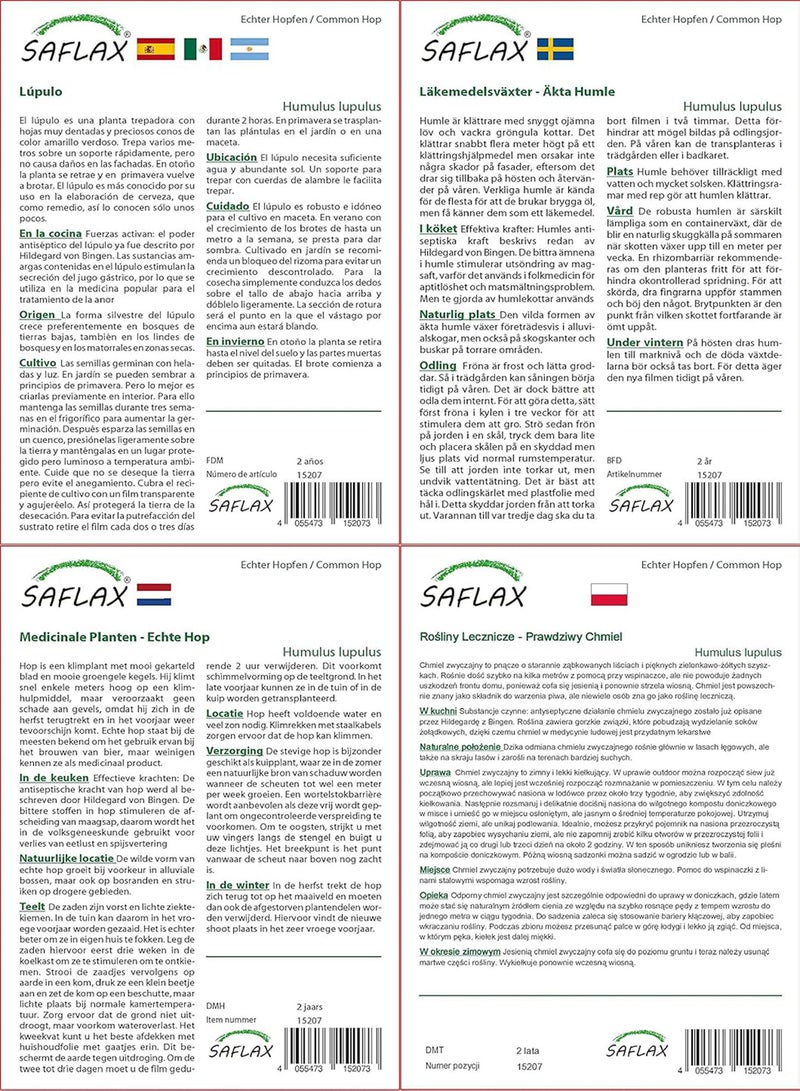 جي جوت مجموعة هدايا - نبات القفزات الشائع - 50 بذرة - هومولوس لوبولوس - Image 4