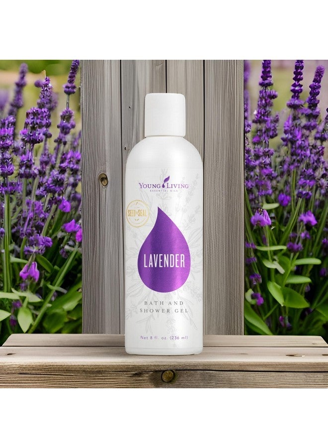 يونغ ليفينغ جل استحمام برائحة اللافندر - ٨ أونصات من يونغ ليفينج للزيوت العطرية - Image 2