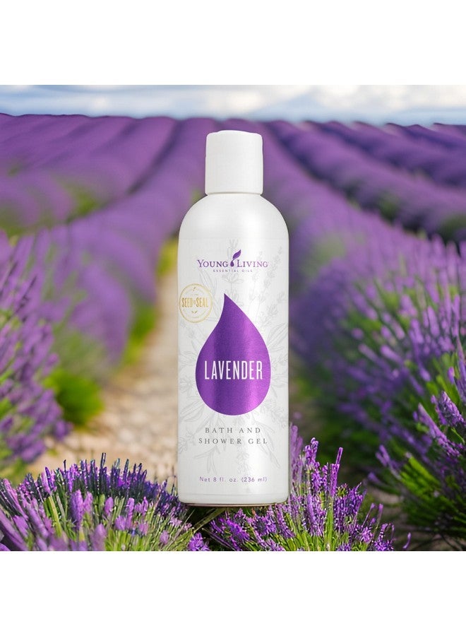 يونغ ليفينغ جل استحمام برائحة اللافندر - ٨ أونصات من يونغ ليفينج للزيوت العطرية - Image 3