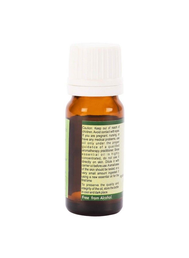 r v essential Pure Helichrysum Essential Oil 10Ml Helichrysum Italicum (100% Pure And Natural Steam Distilled)  - Image 3
