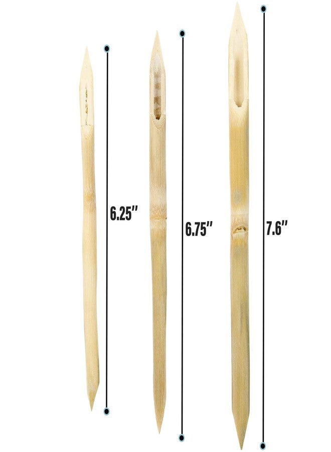 AUEAR, 3 Pack Bamboo Double Head Pointed Stylus Pen Reed Pens Pottery Ceramic Shaping Tools Polymer Clay Tool - Image 2