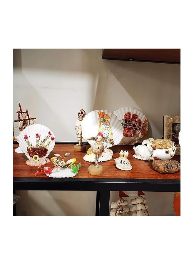 The Bros Sea Shells,6 pcs Crafts Decoration Crafting Scallop Shells, for Crafts DIY Painting Beaching Wedding Decoration, Beach Natural Scallop Shells Bulk (White,10-12cm) - Image 3