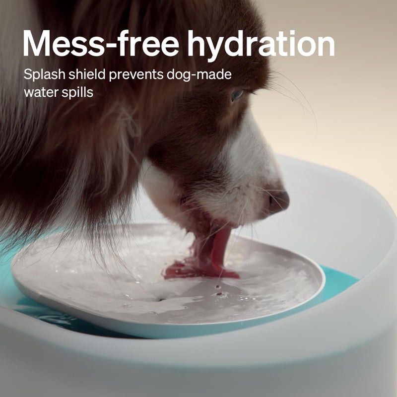 PETLIBRO Dog Water Fountain, 2.1Gal/8L Capsule Dog Fountain for Medium to Large Dogs, Anti-Splash Dog Water Bowl Dispenser, Super Quiet Pet Water Fountain, Great for Dogs Cats and Multi-Pet Home - Image 3