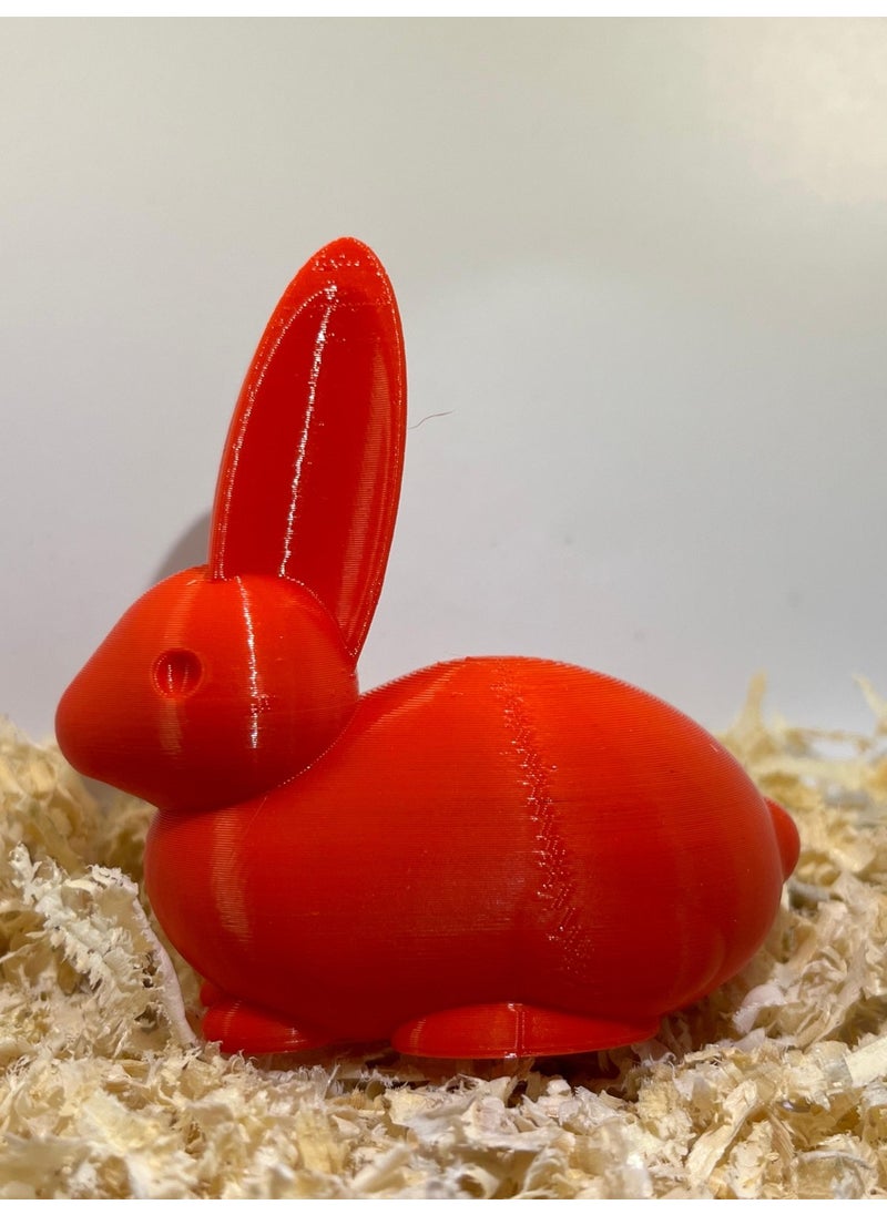 Epm3d Rabbit(Made from Organic Plastic)  - Image 4