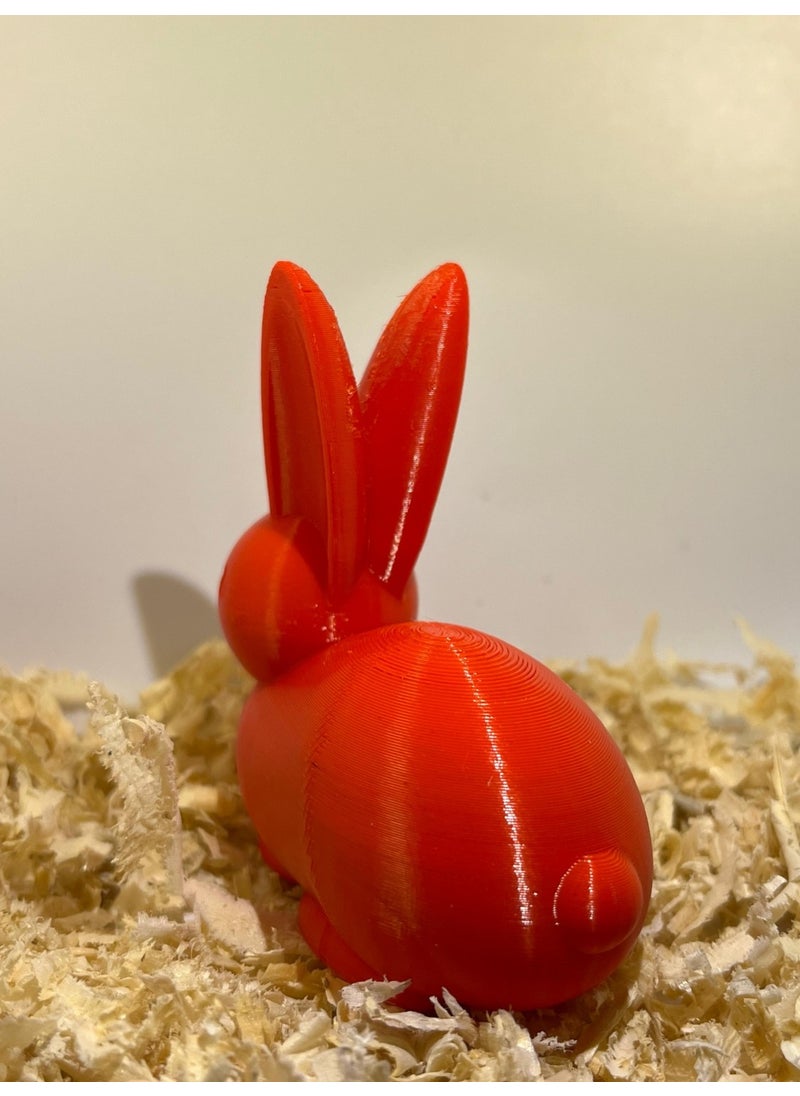 Epm3d Rabbit(Made from Organic Plastic)  - Image 2